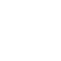 house icon