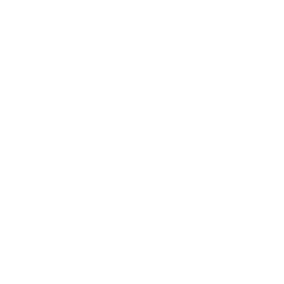 flooring icon